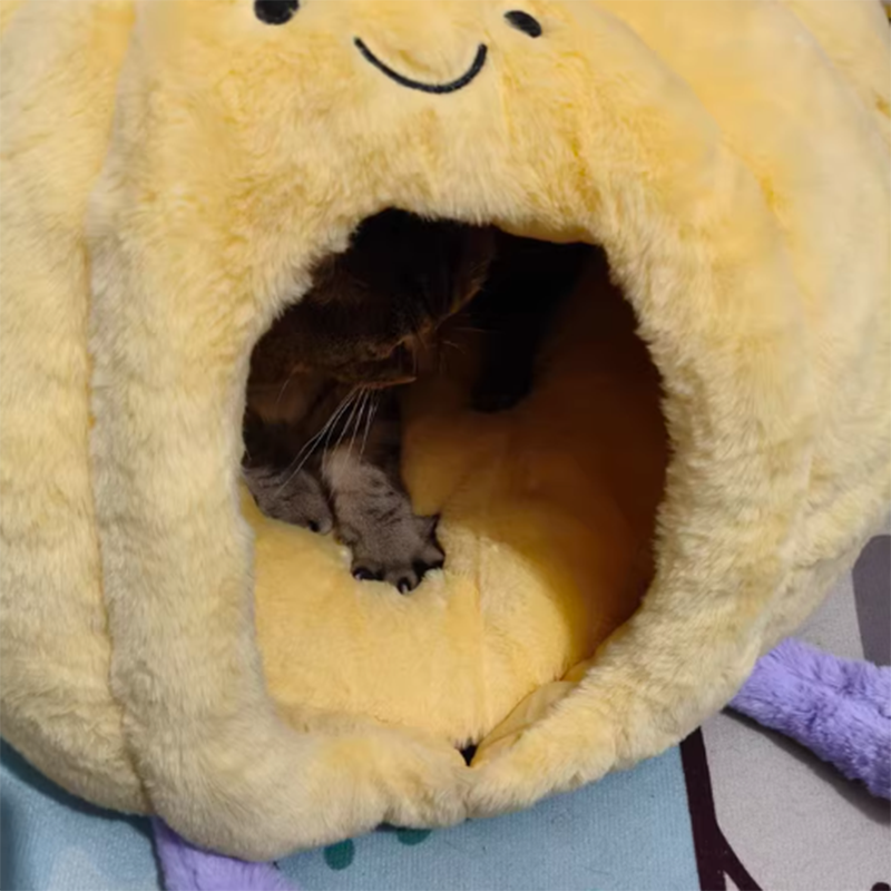 Contemporary Creative Round Velvet Fabric PP Cotton Semi-Enclosed Cat Bed For Bedroom