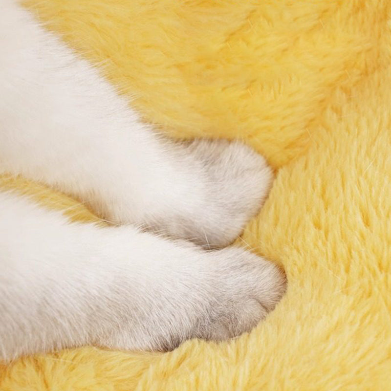 Contemporary Creative Round Velvet Fabric PP Cotton Semi-Enclosed Cat Bed For Bedroom