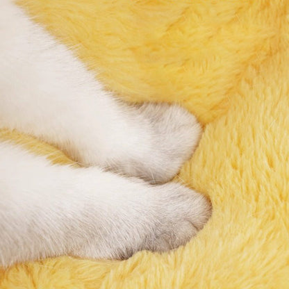 Contemporary Creative Round Velvet Fabric PP Cotton Semi-Enclosed Cat Bed For Bedroom