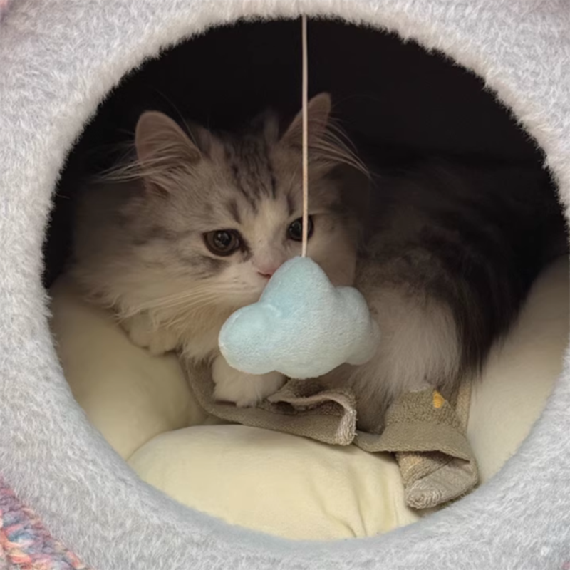 Contemporary Creative Round Particleboard Velvet Fabric Paper Rope Paper Tube Cat Bed For Bedroom