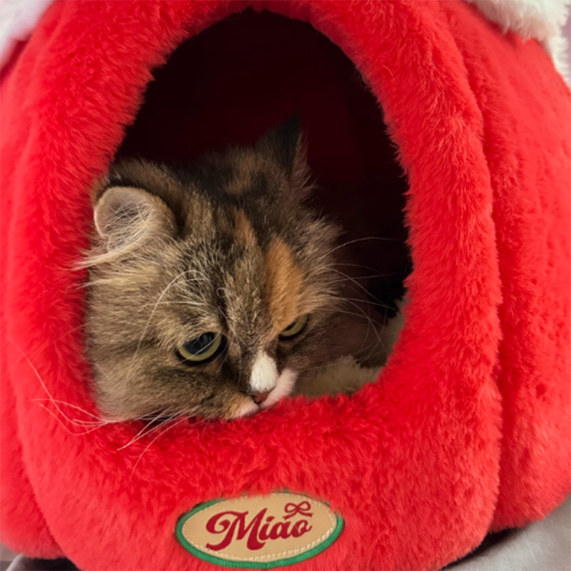 Contemporary Creative Round Velvet Fabric Sponge Semi-Enclosed Cat Bed For Bedroom