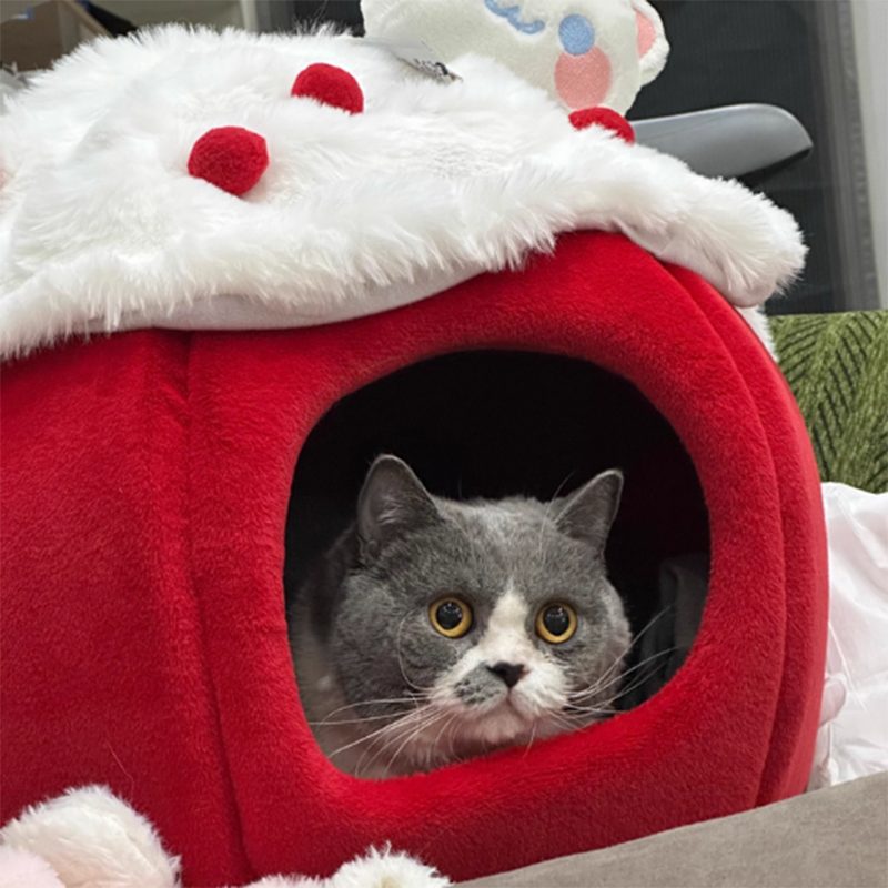 Contemporary Creative Round Velvet Fabric Sponge Semi-Enclosed Cat Bed For Bedroom