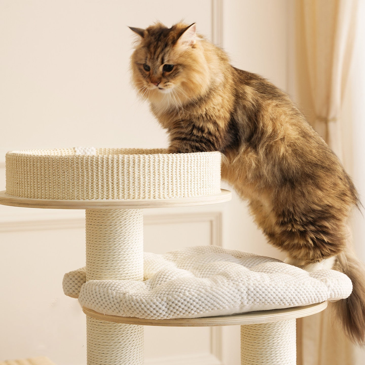 Contemporary Creative Round Multi-layer Solid Wood Panel Corduroy Paper Rope Kraft Paper Tube Cat Tree For Living Room