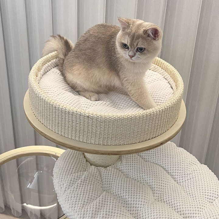 Contemporary Creative Round Multi-layer Solid Wood Panel Corduroy Paper Rope Kraft Paper Tube Cat Tree For Living Room