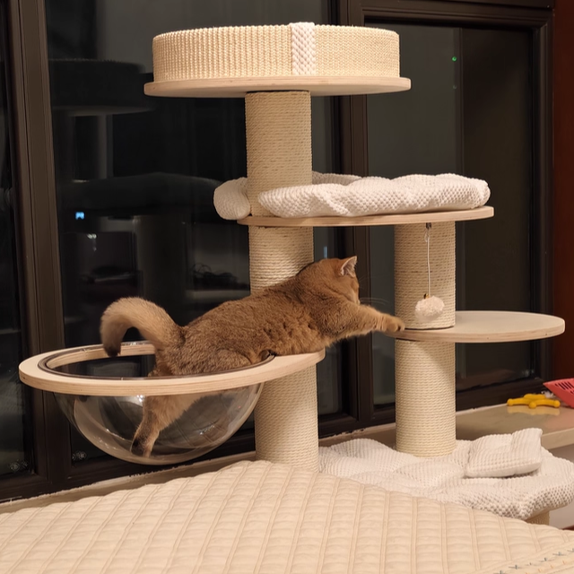Contemporary Creative Round Multi-layer Solid Wood Panel Corduroy Paper Rope Kraft Paper Tube Cat Tree For Living Room