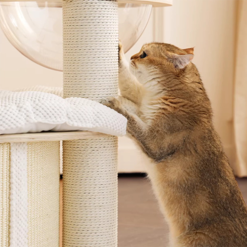 Contemporary Creative Round Multi-layer Solid Wood Panel Corduroy Paper Rope Kraft Paper Tube Cat Tree For Living Room