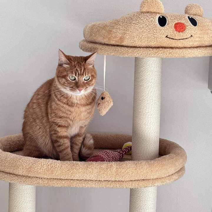 Contemporary Creative Rectangular Medium-Density Fiberboard Velvet Fabric Paper Rope Paper Tube Cat Tree For Living Room