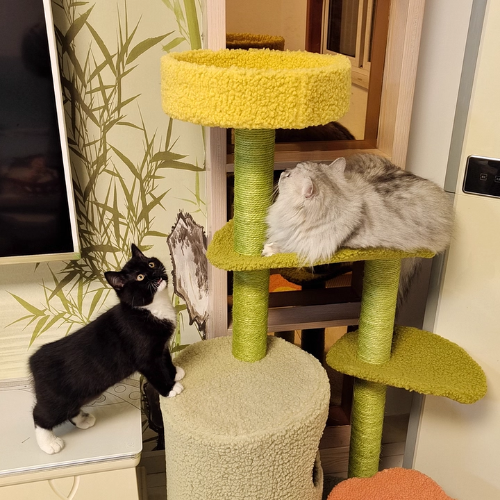 Contemporary Creative Round Particleboard Velvet Fabric Hemp Rope Cat Tree For Living Room