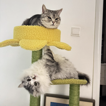 Contemporary Creative Round Particleboard Velvet Fabric Hemp Rope Cat Tree For Living Room