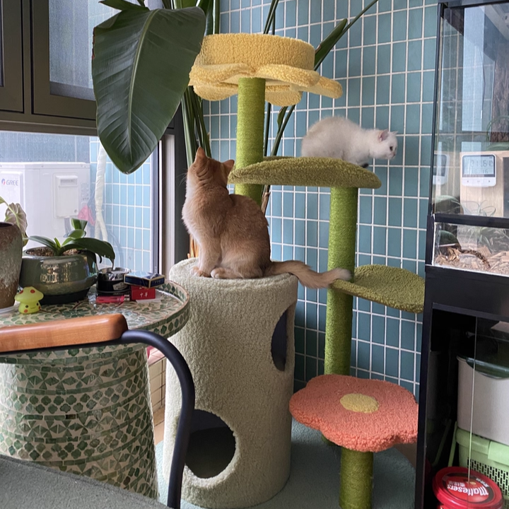 Contemporary Creative Round Particleboard Velvet Fabric Hemp Rope Cat Tree For Living Room