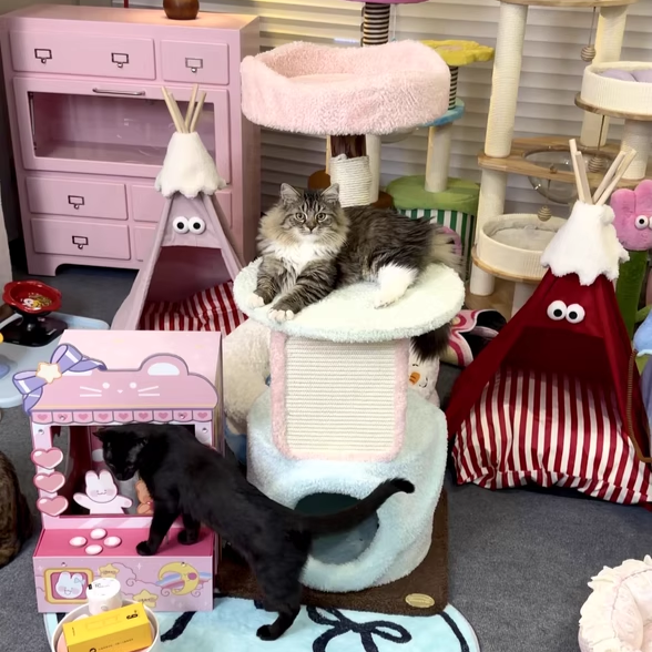 Contemporary Creative Round Particleboard Natural Fruitwood Velvet Fabric Sisal Cat Tree For Living Room