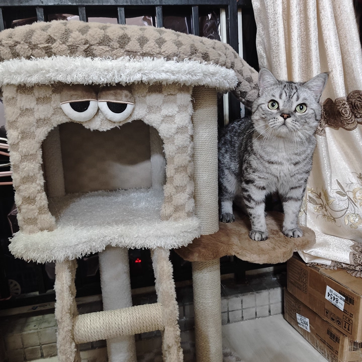 Contemporary Creative Square Particleboard Velvet Fabric Hemp Rope Cat Tree For Living Room