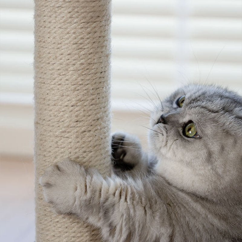 Contemporary Creative Square Particleboard Velvet Fabric Hemp Rope Cat Tree For Living Room