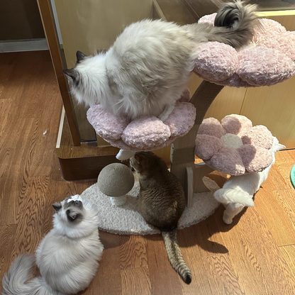Contemporary Creative Round Multi-layer Solid Wood Panel Medium-Density Fiberboard Velvet Fabric Jute Cat Tree For Living Room