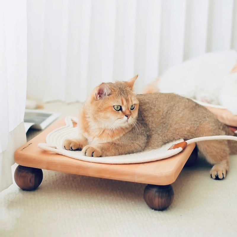 Traditional Vintage Square Rubberwood & Red Chinese Cedar Beech & Black Walnut Cat Bed For Bedroom