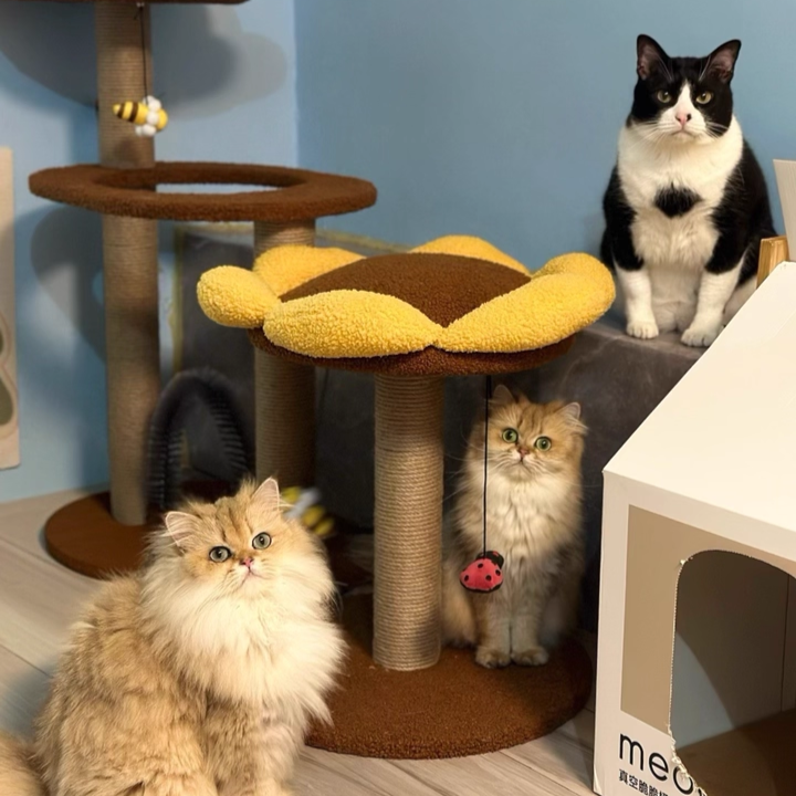 Contemporary Creative Round Particleboard Velvet Fabric Sisal Sunflower Cat Tree 2/3-Tier For Living Room