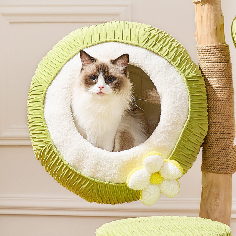 Contemporary Creative Round Natural Fruitwood Particleboard Velvet Fabric Sisal Coconut Cat Tree 5-Tier For Living Room
