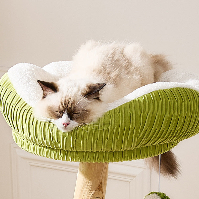 Contemporary Creative Round Natural Fruitwood Particleboard Velvet Fabric Sisal Coconut Cat Tree 5-Tier For Living Room