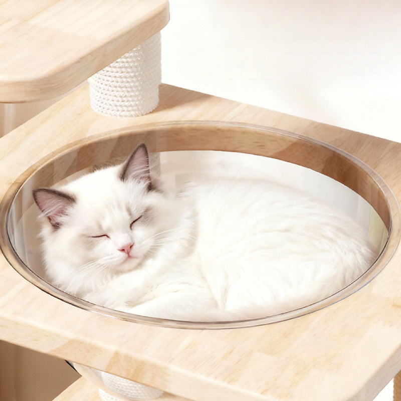 Contemporary Scandinavian Square Pine Solid Wood Board Hemp Rope Paper Tube Cat Tree 4-Tier For Living Room