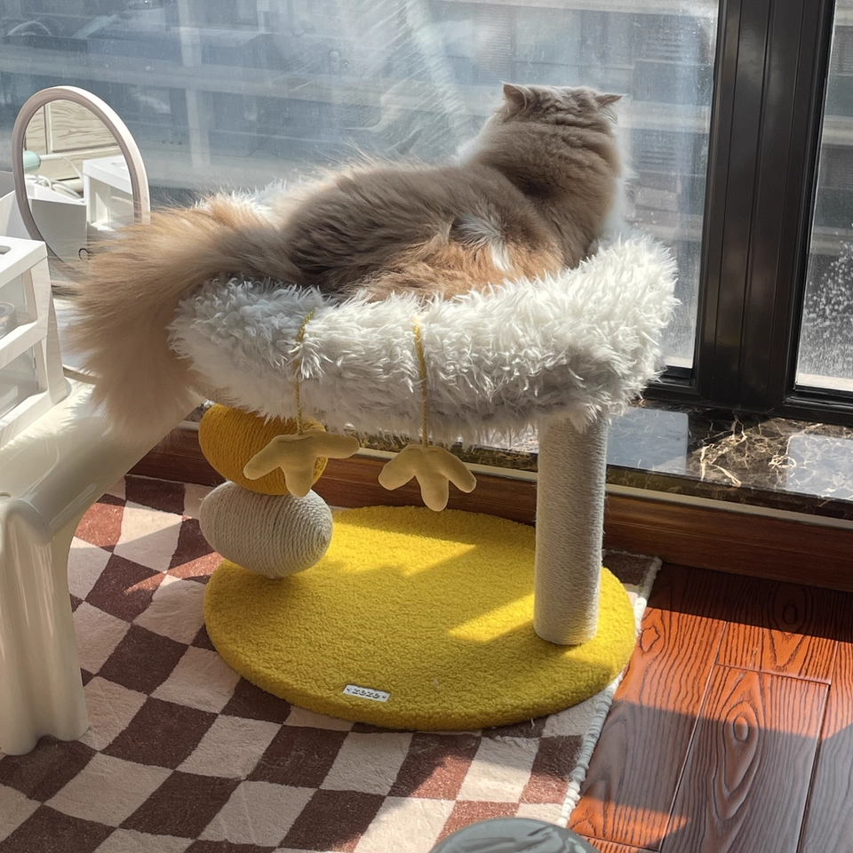 Contemporary Creative Round Particleboard Velvet Fabric Hemp Rope Cat Tree 2-Tier For Living Room