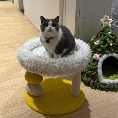 Contemporary Creative Round Particleboard Velvet Fabric Hemp Rope Cat Tree 2-Tier For Living Room