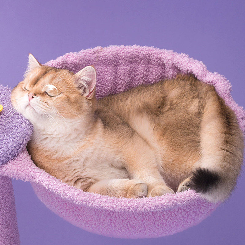 Contemporary Creative Round Particleboard Velvet Fabric Sisal Multi-Functional Star-Moon Cat Tree For Living Room