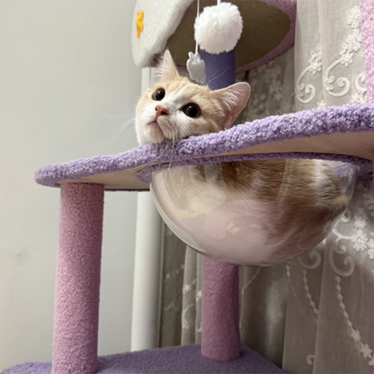 Contemporary Creative Round Particleboard Velvet Fabric Sisal Multi-Functional Star-Moon Cat Tree For Living Room