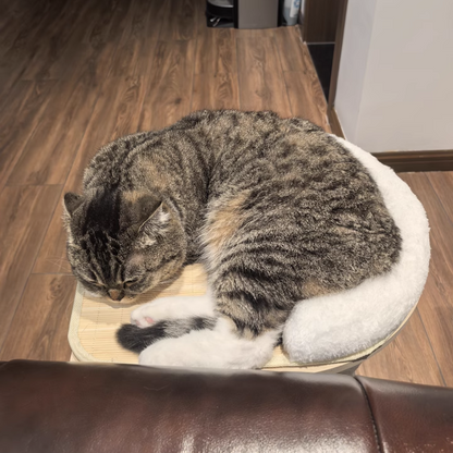 Contemporary Scandinavian Rectangular Medium-Density Fiberboard Hemp Mat Sisal Cat Tree For Living Room