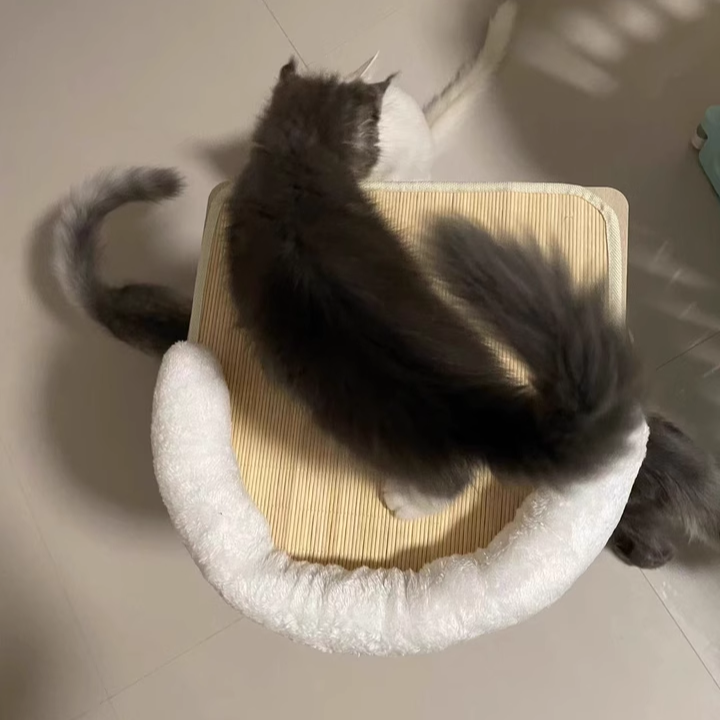 Contemporary Scandinavian Rectangular Medium-Density Fiberboard Hemp Mat Sisal Cat Tree For Living Room