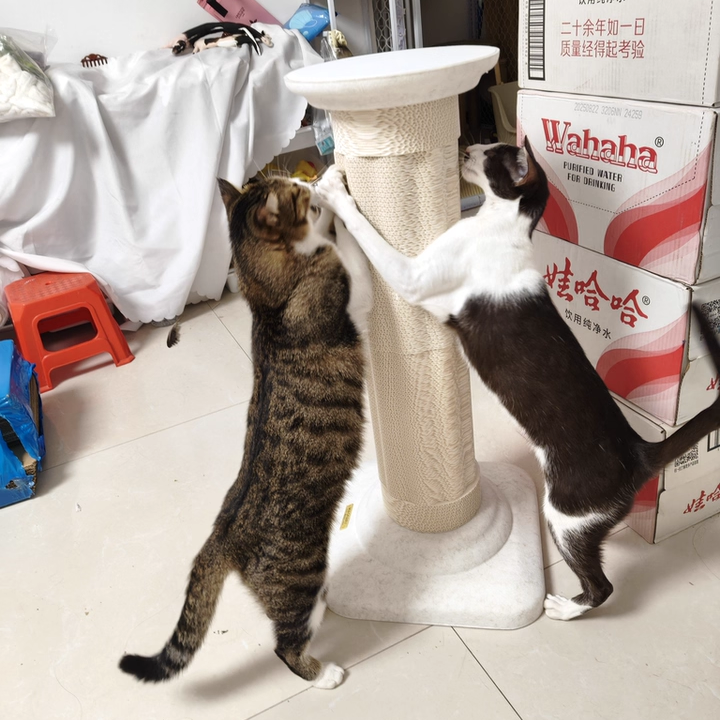 Contemporary Scandinavian Round Medium-Density Fiberboard Corrugated Paper Hemp Rope Felt Cat Scratcher Cat Tree For Living Room