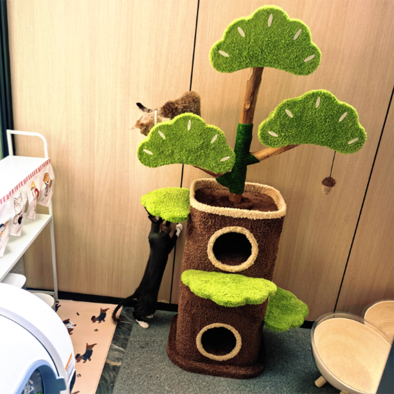 Contemporary Creative Round Particleboard Natural Fruitwood Velvet Fabric Hemp Rope Treehouse Cat Tree For Living Room