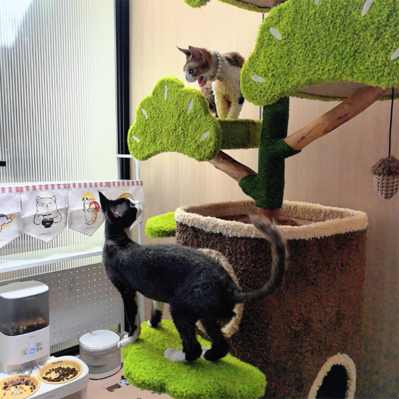Contemporary Creative Round Particleboard Natural Fruitwood Velvet Fabric Hemp Rope Treehouse Cat Tree For Living Room