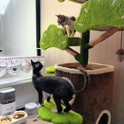 Contemporary Creative Round Particleboard Natural Fruitwood Velvet Fabric Hemp Rope Treehouse Cat Tree For Living Room