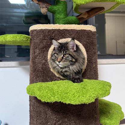 Contemporary Creative Round Particleboard Natural Fruitwood Velvet Fabric Hemp Rope Treehouse Cat Tree For Living Room