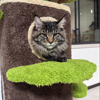 Contemporary Creative Round Particleboard Natural Fruitwood Velvet Fabric Hemp Rope Treehouse Cat Tree For Living Room