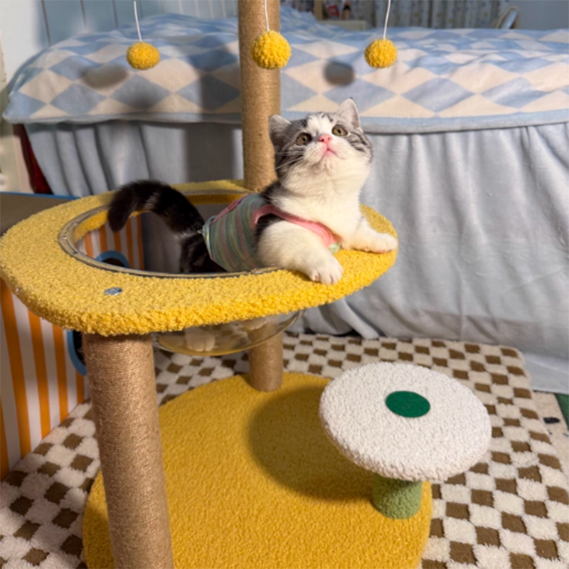 Contemporary Creative Round Medium-Density Fiberboard Velvet Fabric Sisal Coconut Tree Cat Tree For Living Room