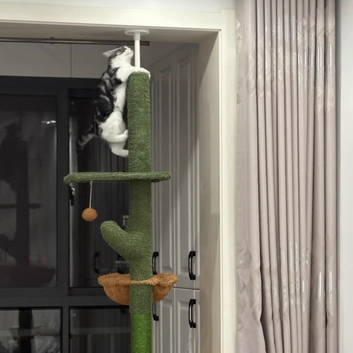 Contemporary Creative Rectangular Particleboard Velvet Fabric Sisal Paper Tube Cactus Cat Tree For Living Room