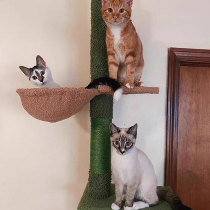 Contemporary Creative Rectangular Particleboard Velvet Fabric Sisal Paper Tube Cactus Cat Tree For Living Room