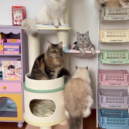 Contemporary Scandinavian Round Multi-Layer Solid Wood Panel Fiberboard Paper Rope Paper Tube Cat Tree 5-Tier For Living Room