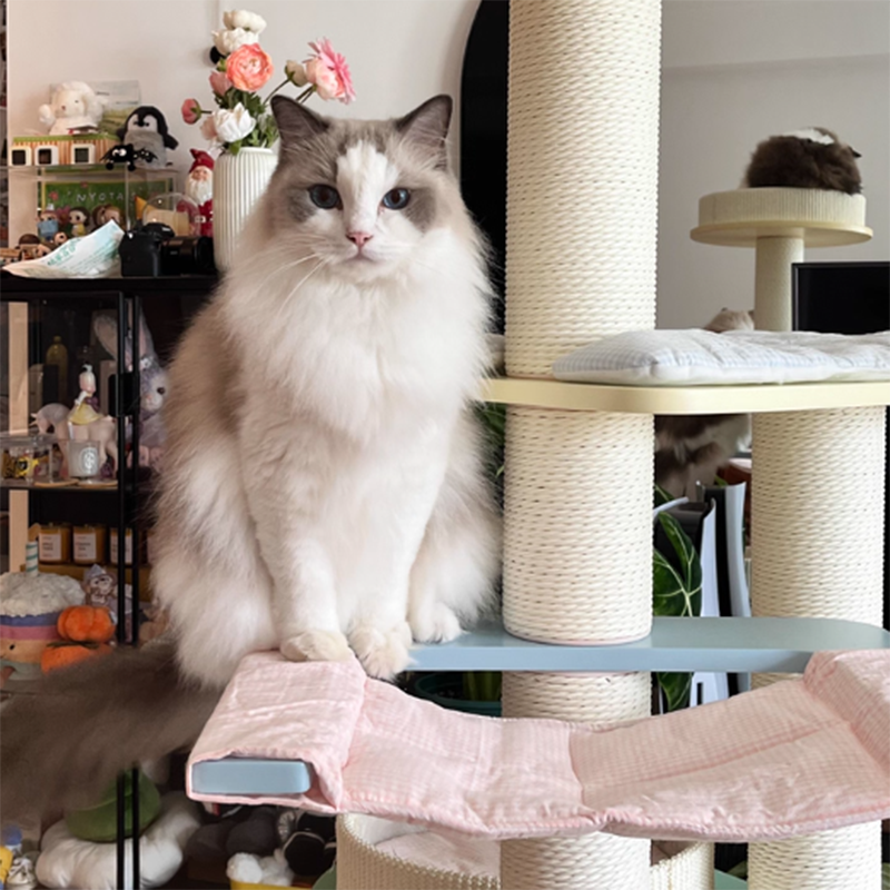 Contemporary Scandinavian Round Multi-Layer Solid Wood Panel Fiberboard Paper Rope Paper Tube Cat Tree 5-Tier For Living Room