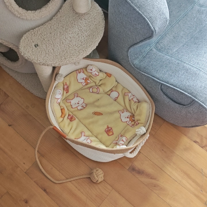 Contemporary Scandinavian Oval Linen-Cotton Rope Woven Cat Bed For Living Room & Bedroom