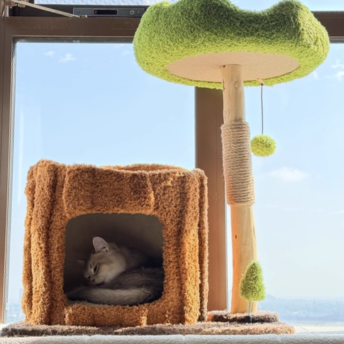 Contemporary Creative Round Particleboard Natural Fruitwood Velvet Fabric Sisal Tree Stump Cat Tree 3-Tier For Living Room