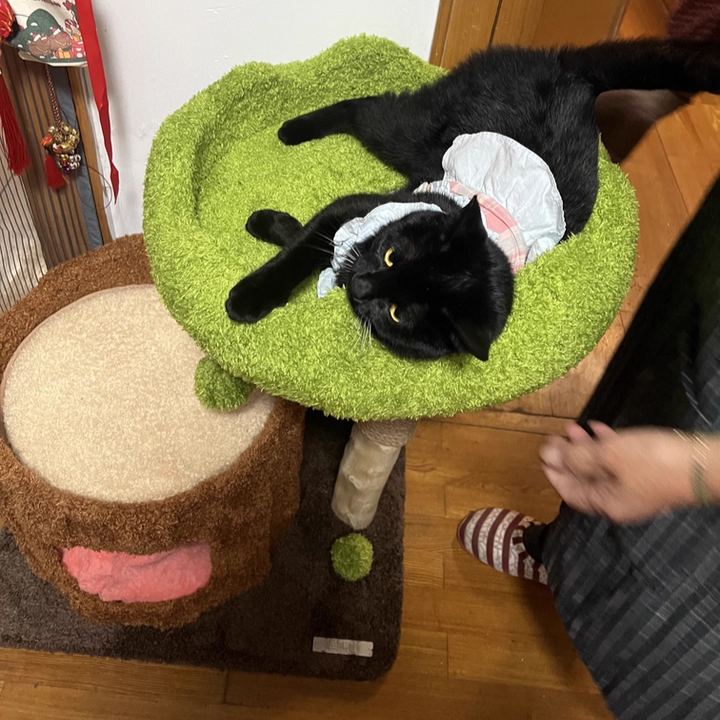 Contemporary Creative Round Particleboard Natural Fruitwood Velvet Fabric Sisal Tree Stump Cat Tree 3-Tier For Living Room
