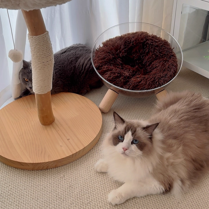 Contemporary Scandinavian Round Rubberwood PET Iron Clear Cat Bed For Bedroom