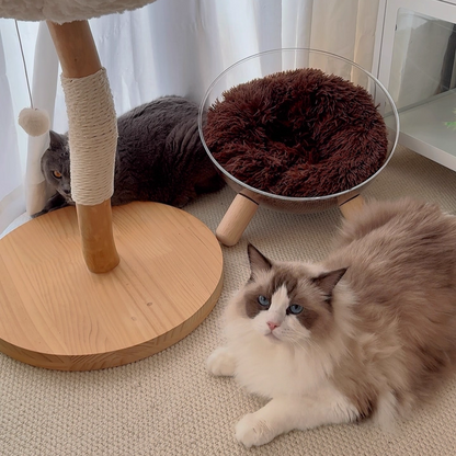 Contemporary Scandinavian Round Rubberwood PET Iron Clear Cat Bed For Bedroom