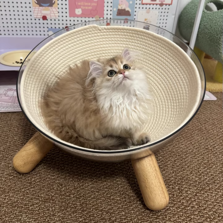 Contemporary Scandinavian Round Rubberwood PET Iron Clear Cat Bed For Bedroom
