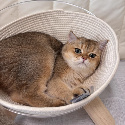 Contemporary Scandinavian Round Rubberwood PET Iron Clear Cat Bed For Bedroom