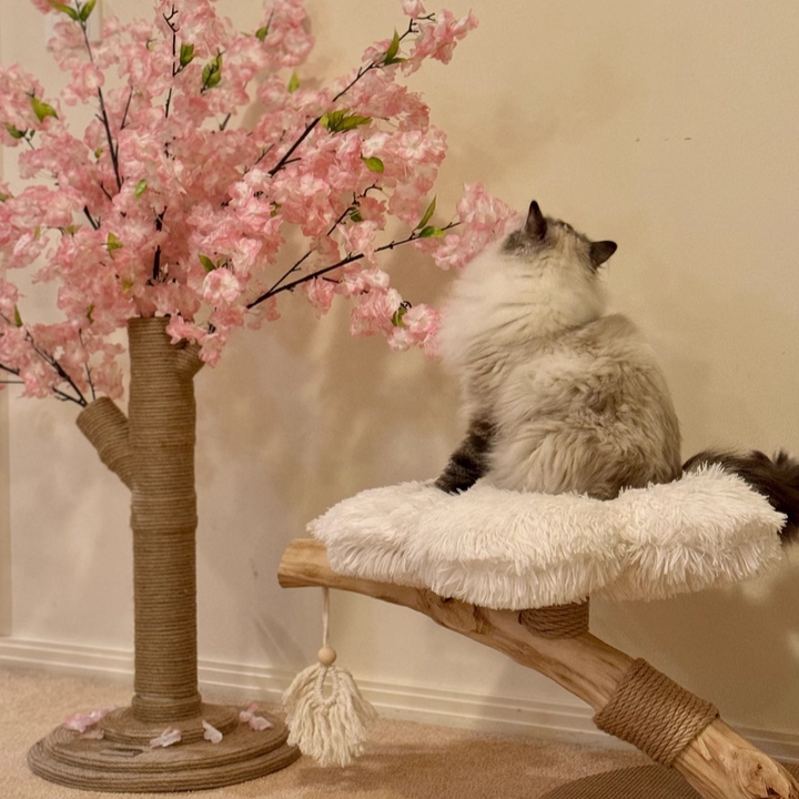 Contemporary Scandinavian Round Particleboard Natural Fruitwood Velvet Fabric Hemp Rope Cat Tree 2-Tier For Living Room