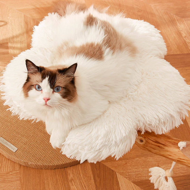 Contemporary Scandinavian Round Particleboard Natural Fruitwood Velvet Fabric Hemp Rope Cat Tree 2-Tier For Living Room