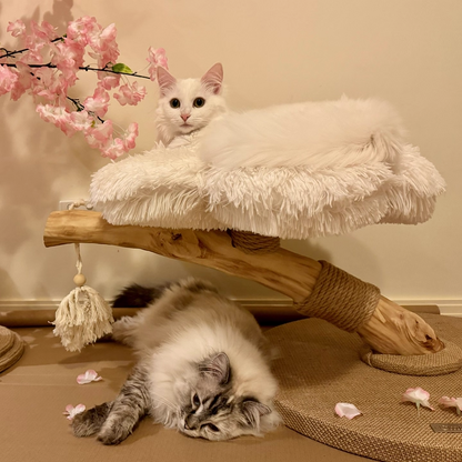 Contemporary Scandinavian Round Particleboard Natural Fruitwood Velvet Fabric Hemp Rope Cat Tree 2-Tier For Living Room